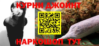 индика Партизанск