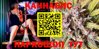 индика Партизанск