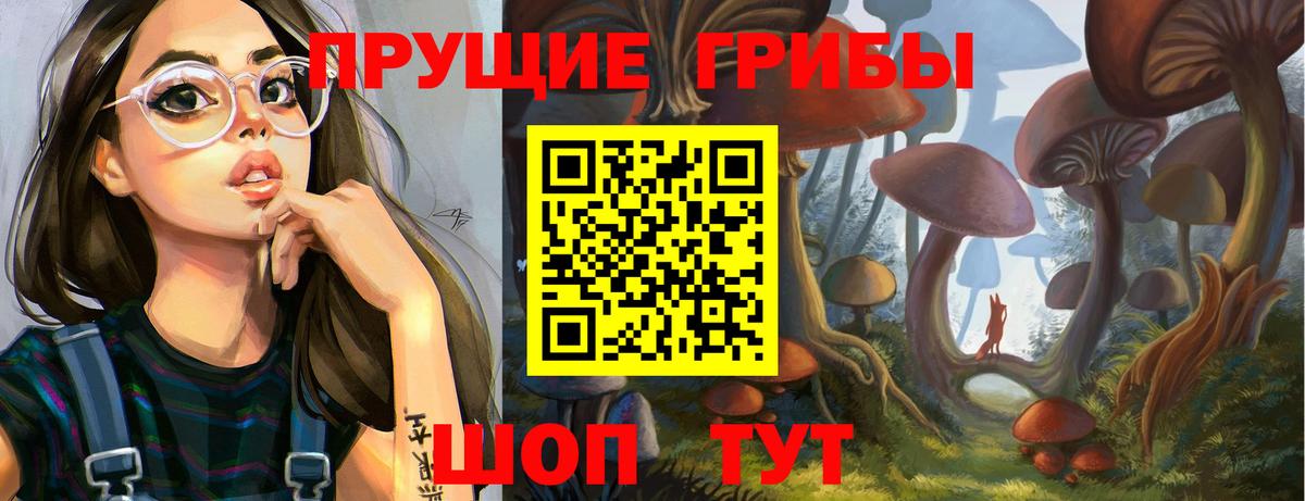 Галлюциногенные грибы Psilocybine cubensis Сердобск