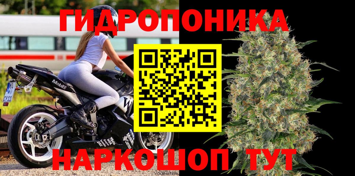 Конопля семена  Каннабис конопля  Вход с VPN  Сердобск  Конопля индика 